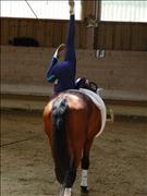 voltitag 2009 _CD1 113